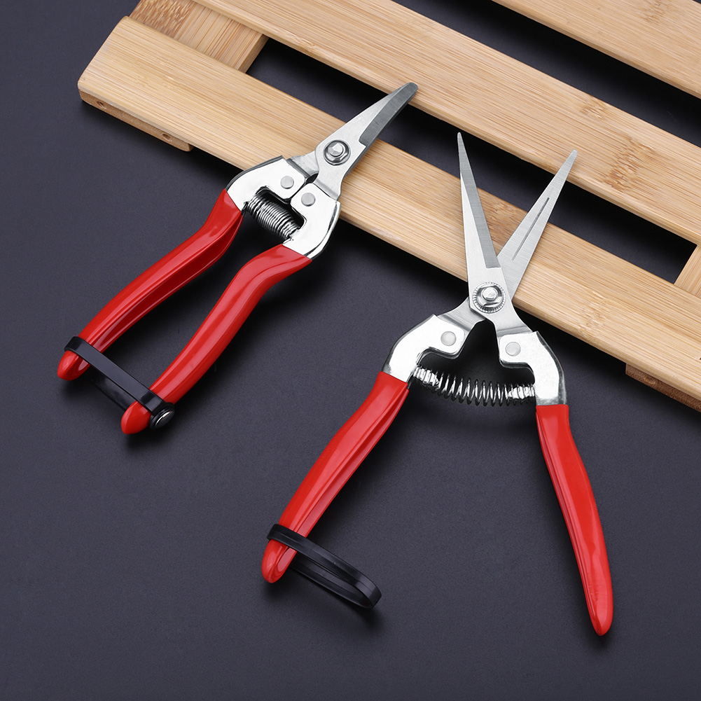 Robusto albero da frutto Bonsa - Garden Shredder Chipper recensione e prezzo