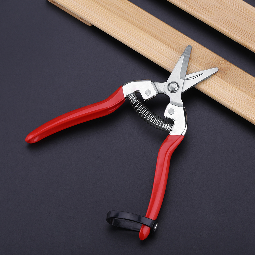 Robusto albero da frutto Bonsa - Garden Shredder Chipper recensione e prezzo
