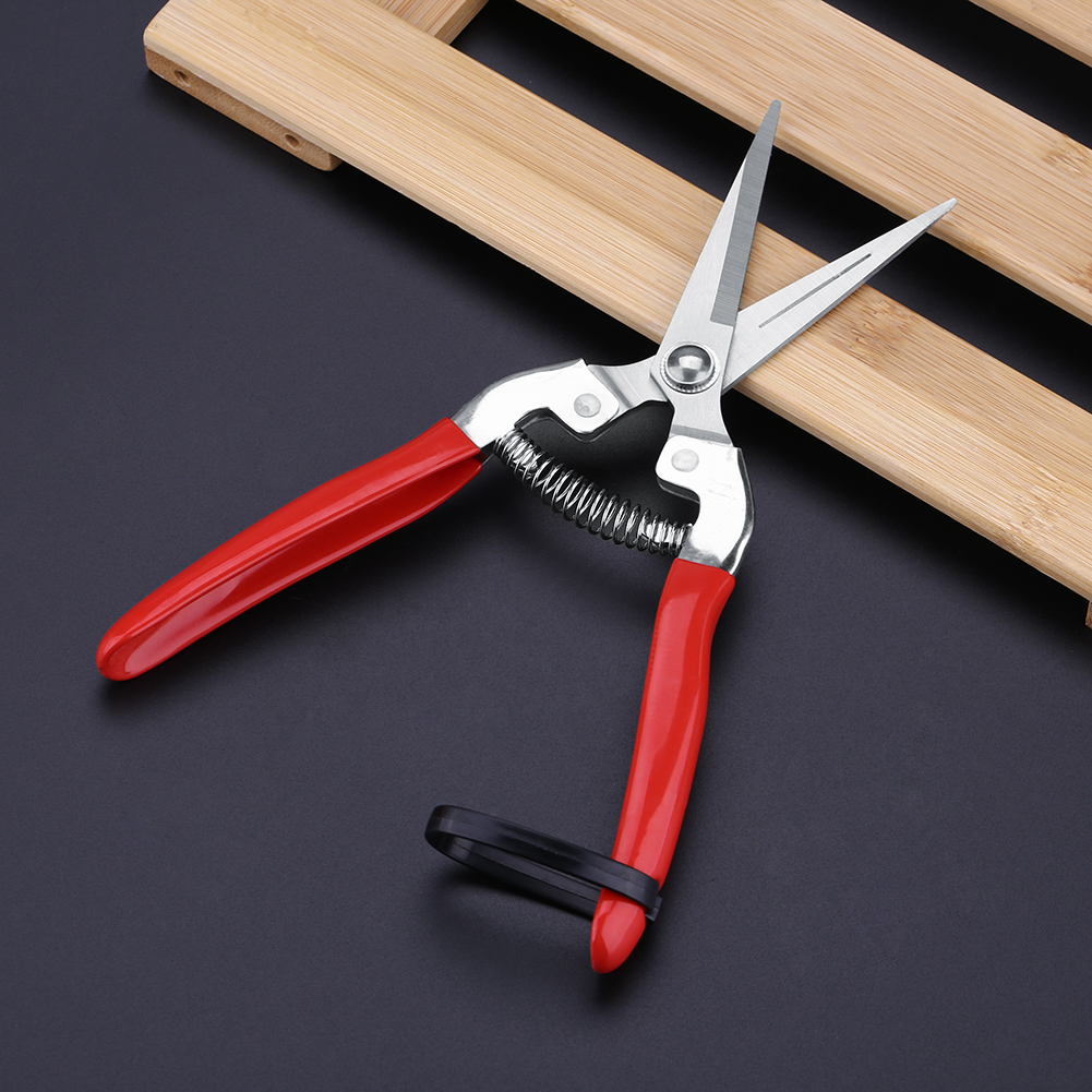 Robusto albero da frutto Bonsa - Garden Shredder Chipper recensione e prezzo