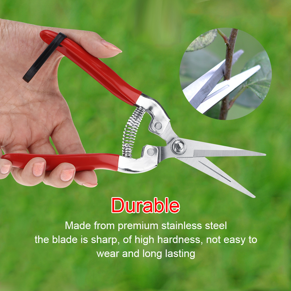 Robusto albero da frutto Bonsa - Garden Shredder Chipper recensione e prezzo