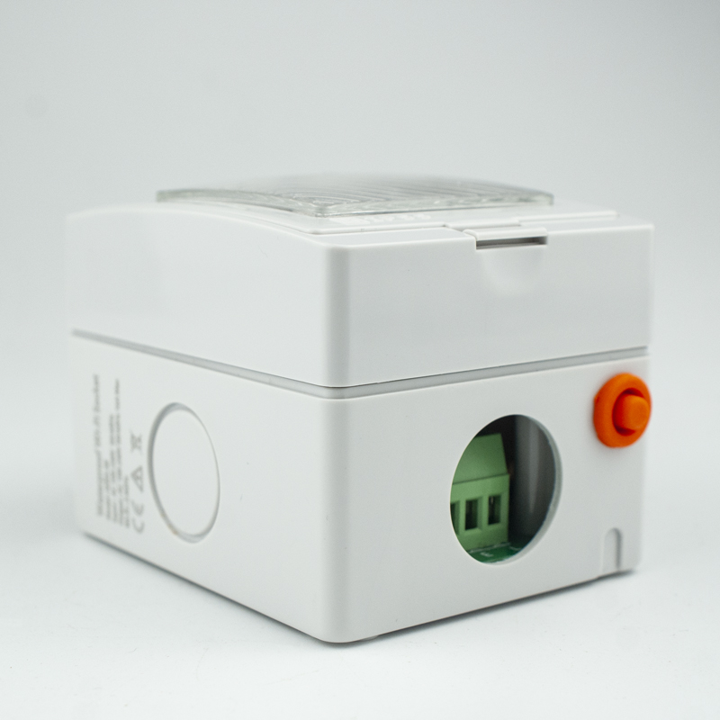 Avoir Tuya Smart Power Socket  - Outdoor Power Outlet With Remote Control recensione e prezzo