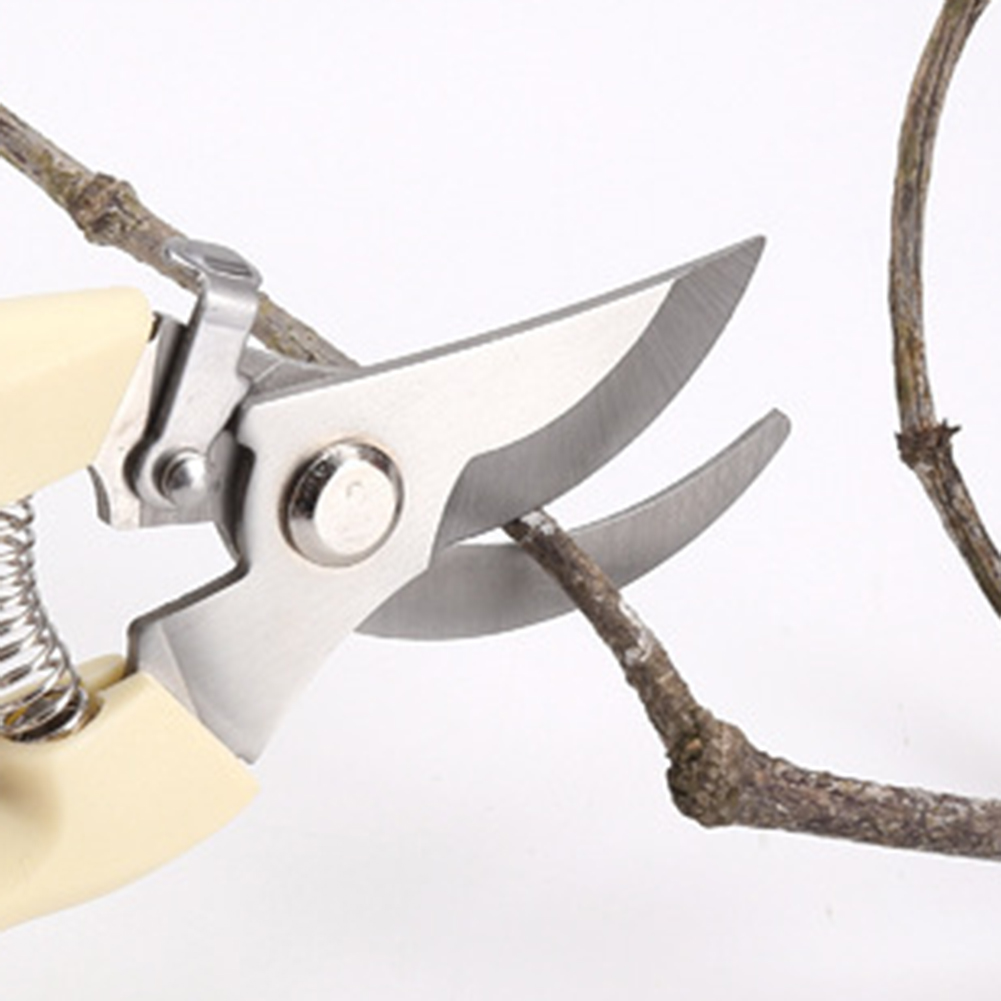 Cesoie da potatura Utensili ma - Garden Shredder Chipper recensione e prezzo